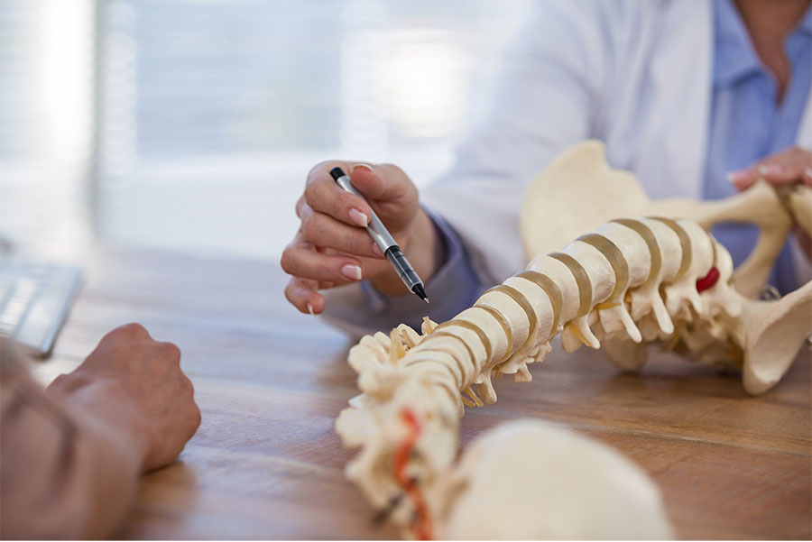 Healthcare providers examining a spine